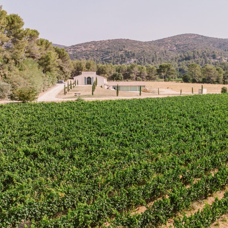 Domaine de Fontenille, chai vignes