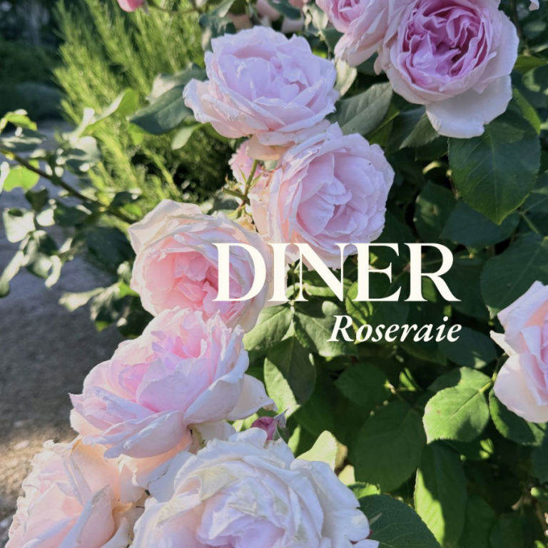 hotel-domaine-de-fontenille-luberon (2)